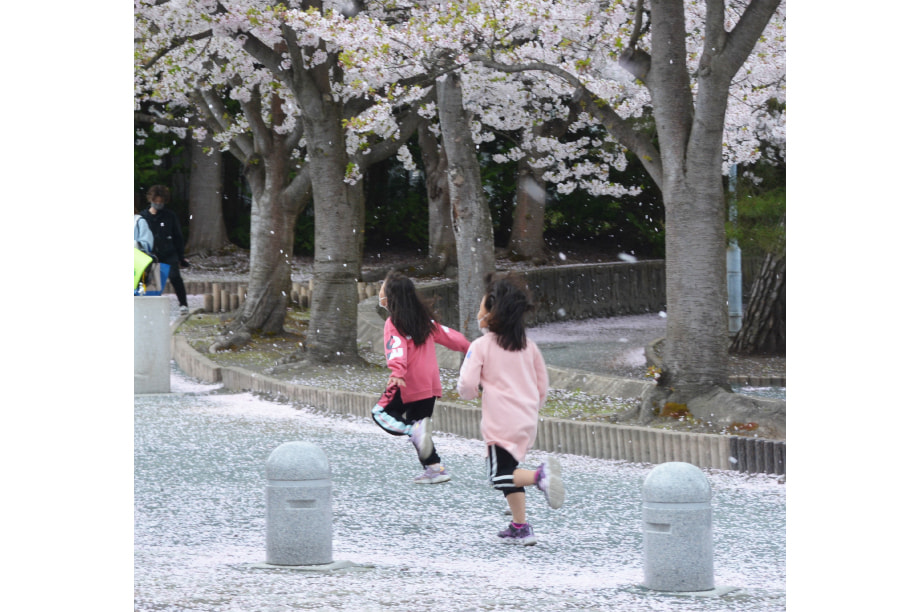 蜈豌励>縺」縺ア縺シ√イ繧峨°繧上▲蟄仙ソ懈抄繧ウ繝シ繧ケ
