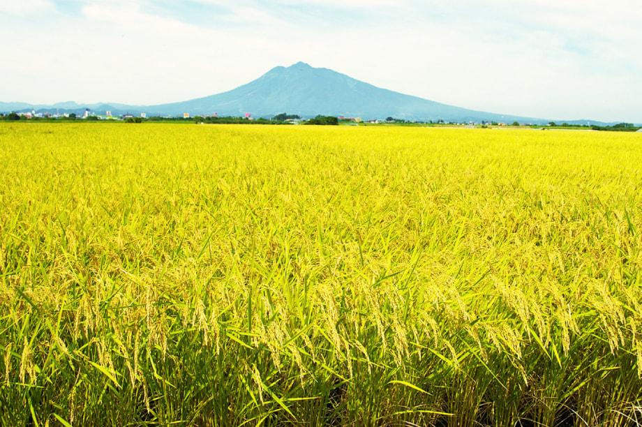 縺ソ縺ゥ繧願ア翫°縺ェ縺セ縺。縲√オ繧九&縺ィ縺イ繧峨°繧丞ソ懈抄繧ウ繝シ繧ケ