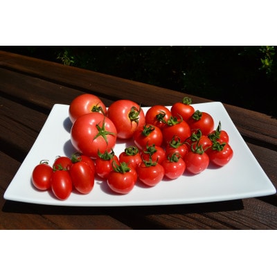 とまとけちゃっぷ5本セット【1397239】