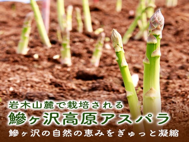 アスパラガス 先行予約 夏アスパラガス 約1kg+100g L～2L 約30本前後 厳選 マコト農園 アスパラ グリーンアスパラ 野菜 夏 旬 旬の野菜 産地直送 2026年 2026 先行 予約 青森 冷蔵 冷蔵配送 8月～9月発送
