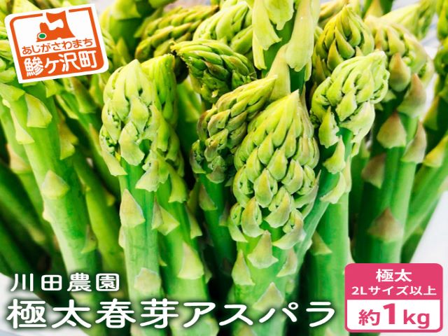 先行予約 2026年 岩木山高原 超極太 アスパラガス 約1kg 2L以上 5月6月発送 アスパラ 野菜 旬の野菜 産地直送 季節の野菜 春野菜 青森 青森県 鰺ヶ沢町