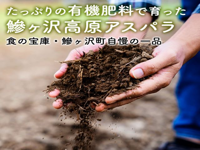 先行予約 岩木山高原 アスパラガス 約1kg 2L厳選 5月6月発送 アスパラ 野菜 旬の野菜 産地直送 季節の野菜 春野菜 青森 青森県 鰺ヶ沢町