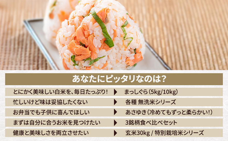 先行予約 令和8年産 特別栽培米 まっしぐら 白米 5kg [H.GREENWORK] 青森県 鰺ヶ沢産 / お米 精米 こめ おこめ ごはん 農薬5割減 安心 安全 津軽
