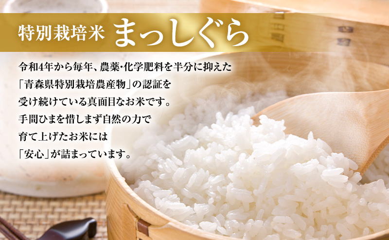 先行予約 令和8年産 特別栽培米 まっしぐら 白米 5kg [H.GREENWORK] 青森県 鰺ヶ沢産 / お米 精米 こめ おこめ ごはん 農薬5割減 安心 安全 津軽