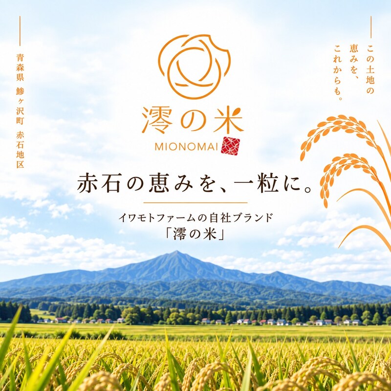 【3回定期便】米 5kg （ 5kg × 1 ） 玄米 まっしぐら イワモトファーム 青森県産 令和8年産 3ヶ月 定期便 新米 健康 栄養 食物繊維 ブランド米 直送 農家直送 お取り寄せ お米 こめ コメ 国産 冷めてもおいしい 送料無料