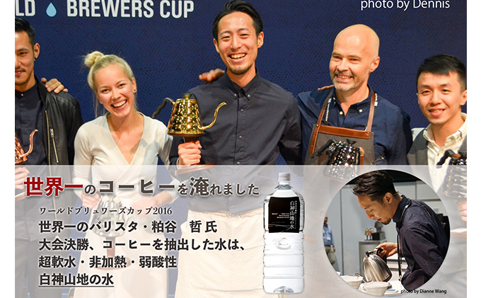 白神山地の水 2L×12本 ナチュラルウォーター 飲料水 軟水 超軟水 非加熱 弱酸性 湧水 湧き水 水 ウォーター ペットボトル 青森県 鰺ヶ沢町 国産 飲料類 ミネラルウォーター 