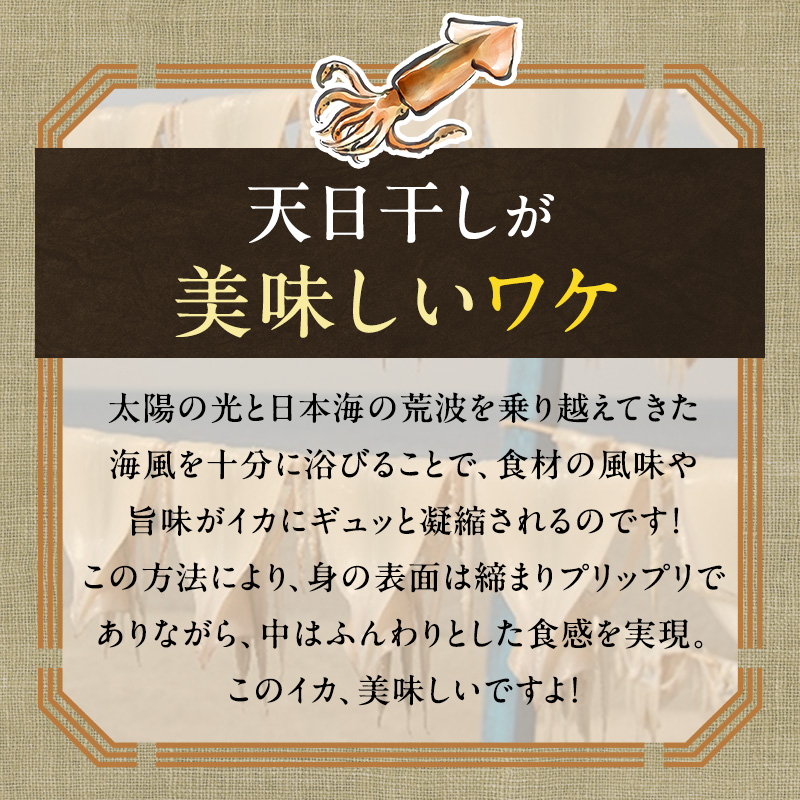 繧、繧ォ 髱呈」ョ逵檎肇 荳譛ャ驥」繧翫>縺 菴ソ逕ィ 魏コ繝カ豐「 蜷咲黄 螟ゥ譌・逕溷ケイ縺励う繧ォ 繧サ繝繝 シ1.8kg莉・荳8譫夲ス12譫壼・繧奇シ 縺縺 蟷イ迚ゥ 蟷イ迚ゥ繧サ繝繝 縺吶k繧 繧ケ繝ォ繝。 繧ケ繝ォ繝。繧、繧ォ 豬キ魄ョ 鬲壻サ矩。 鬲壻サ 豬キ逕」迚ゥ 窶サ 縺泌・驥醍「コ隱榊セ 3繝カ譛井サ・蜀縺ョ逋コ騾√↓縺ェ繧翫∪縺吶 髱呈」ョ逵碁ーコ繝カ豐「逕コ