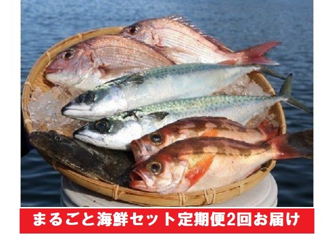 まるごと海鮮セット定期便2回お届け