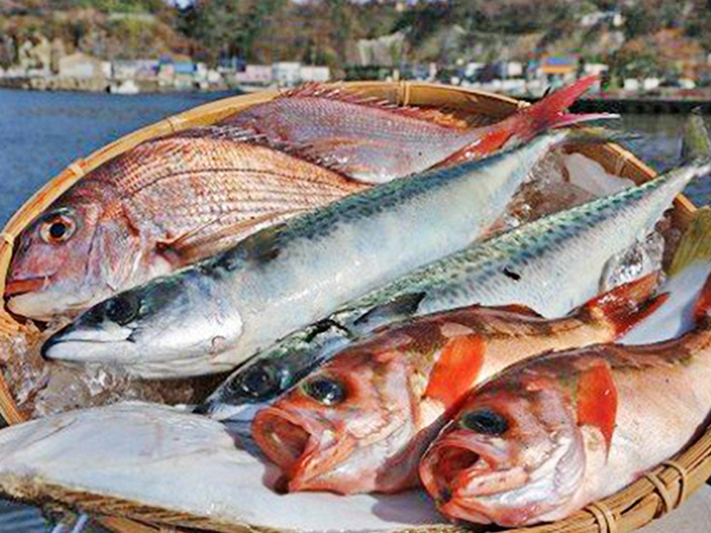 豪華まるごと海鮮セット定期便3回お届け