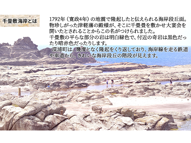 【千畳敷センター】青森県深浦産・無添加だし粉 25g／30g 16本セット【8種類×2本ずつ】