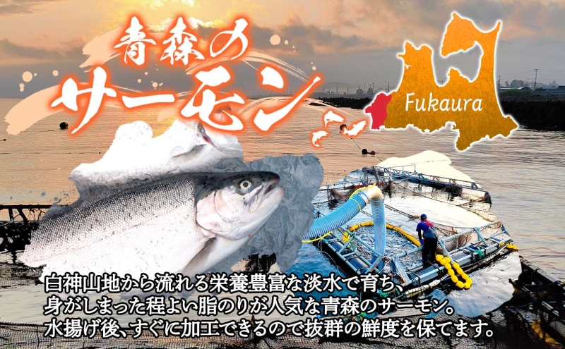 青森サーモン ネギトロ 計500g 100g 5袋 国産 サーモン ねぎとろ たたき 丼ぶり 海鮮丼 寿司 海鮮 魚介 贅沢 つまみ お取り寄せ 詰め合わせ グルメ 産地直送 送料無料 冷凍 あおもり海山 青森県 深浦町