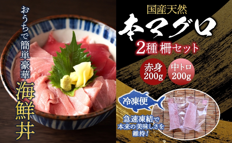 天然 本マグロ 赤身 中トロ 2種セット 国産 本鮪 まぐろ マグロ クロマグロ 鮪 刺身 丼ぶり 寿司 海鮮 魚介 贅沢 お取り寄せ 詰め合わせ グルメ 産地直送 送料無料 冷凍 あおもり海山 青森県 深浦町 