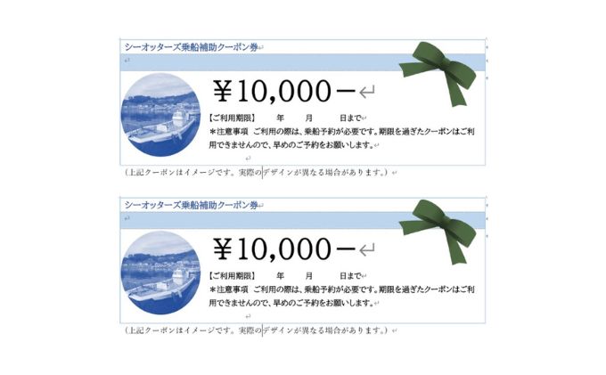 JALクーポン　２００００円分その他