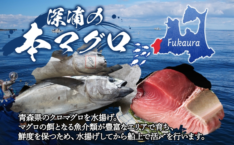 天然 本マグロ 中トロ 計400g 国産 本鮪 まぐろ マグロ クロマグロ 鮪 刺身 丼ぶり 寿司 海鮮 魚介 贅沢 お取り寄せ 詰め合わせ グルメ 産地直送 送料無料 冷凍 あおもり海山 青森県 深浦町