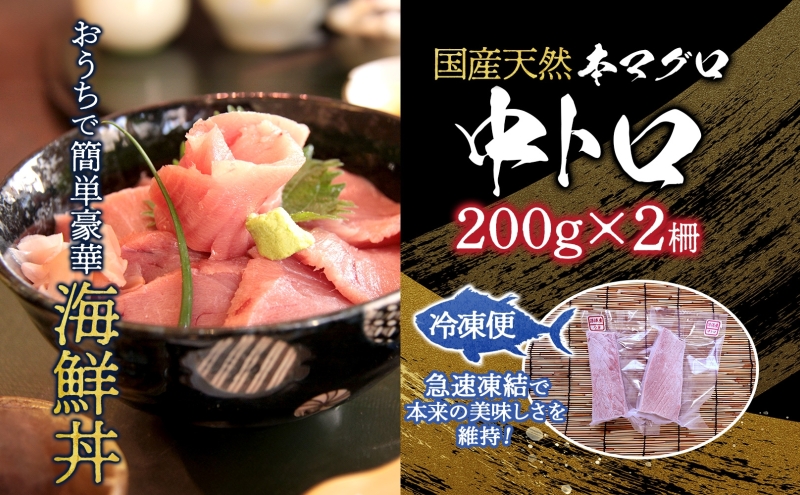 天然 本マグロ 中トロ 計400g 国産 本鮪 まぐろ マグロ クロマグロ 鮪 刺身 丼ぶり 寿司 海鮮 魚介 贅沢 お取り寄せ 詰め合わせ グルメ 産地直送 送料無料 冷凍 あおもり海山 青森県 深浦町