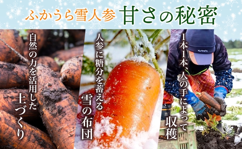  【冬季数量限定】ふかうら雪人参 約5kg 人参 にんじん ニンジン ジュース フルーティー 甘い おいしい ブランド 野菜 青森県 深浦町