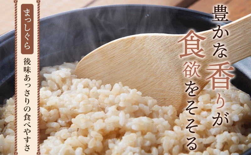 青森ブランド米 まっしぐら 玄米 1袋 5kg 米 お米 コメ こめ 食品 ご飯 ごはん 和食 香り 炊き立て 国産 送料無料 つややか 青森県 深浦町産 