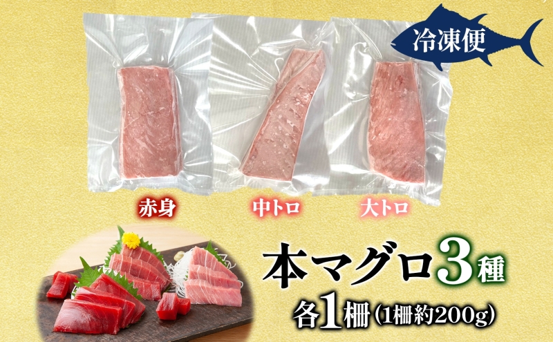 本マグロ 3種 赤身 中トロ 大トロ 各1柵 国産 本鮪 まぐろ マグロ クロマグロ 鮪 刺身 丼ぶり 寿司 海鮮 魚介 贅沢 お取り寄せ 詰め合わせ グルメ 産地直送 送料無料 冷凍 道の駅 青森県 深浦町