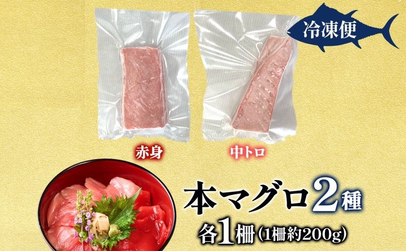 本マグロ 赤身 中トロ 各1柵 セット 国産 本鮪 まぐろ マグロ クロマグロ 鮪 刺身 丼ぶり 寿司 海鮮 魚介 贅沢 お取り寄せ 詰め合わせ グルメ 産地直送 送料無料 冷凍 道の駅 青森県 深浦町