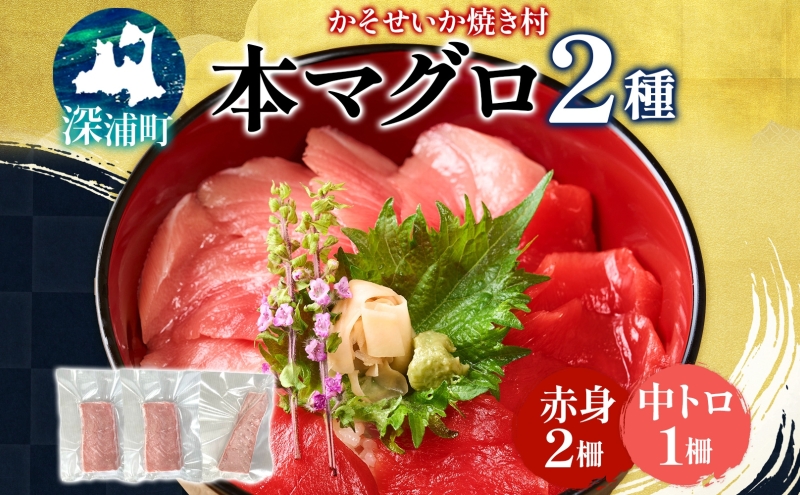 本マグロ 赤身 2柵 中トロ 1柵 セット 国産 本鮪 まぐろ マグロ クロマグロ 鮪 刺身 丼ぶり 寿司 海鮮 魚介 贅沢 お取り寄せ 詰め合わせ グルメ 産地直送 送料無料 冷凍 道の駅 青森県 深浦町