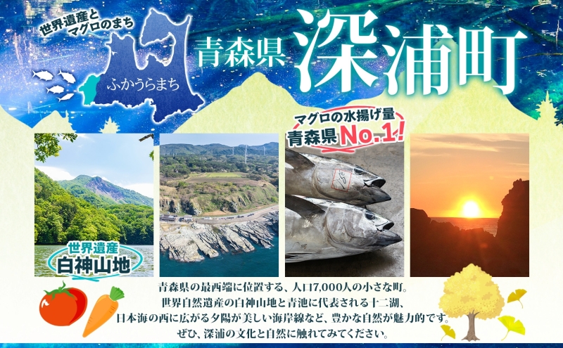 醤油いくら 150g×2パック 計300g 数量限定 青森県産 冷凍 いくら イクラ ごはん おかず おつまみ 晩酌 ギフト お取り寄せ 贅沢 醤油漬け 日本海 送料無料 大船海産株式会社 青森県 深浦町