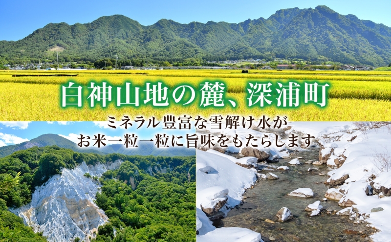 青森ブランド米 まっしぐら10kg 白米 米 お米 コメ こめ 食品 ご飯 ごはん 和食 あっさり 国産 送料無料 つややか 青森県 深浦町