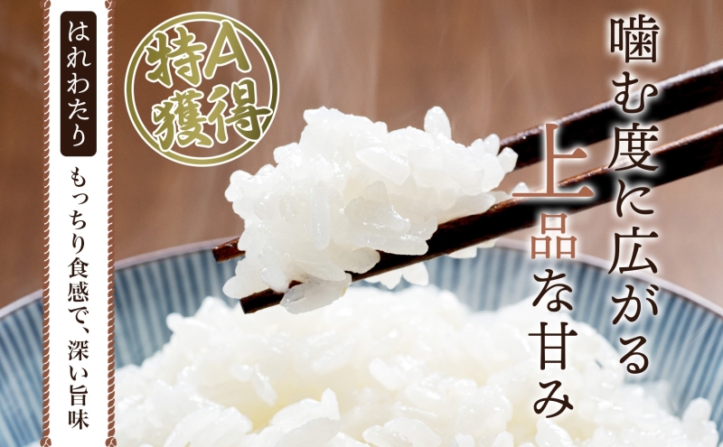 青森ブランド米 はれわたり10kg 白米 米 お米 コメ こめ 食品 ご飯 ごはん 和食 あっさり 国産 送料無料 つややか 青森県 深浦町