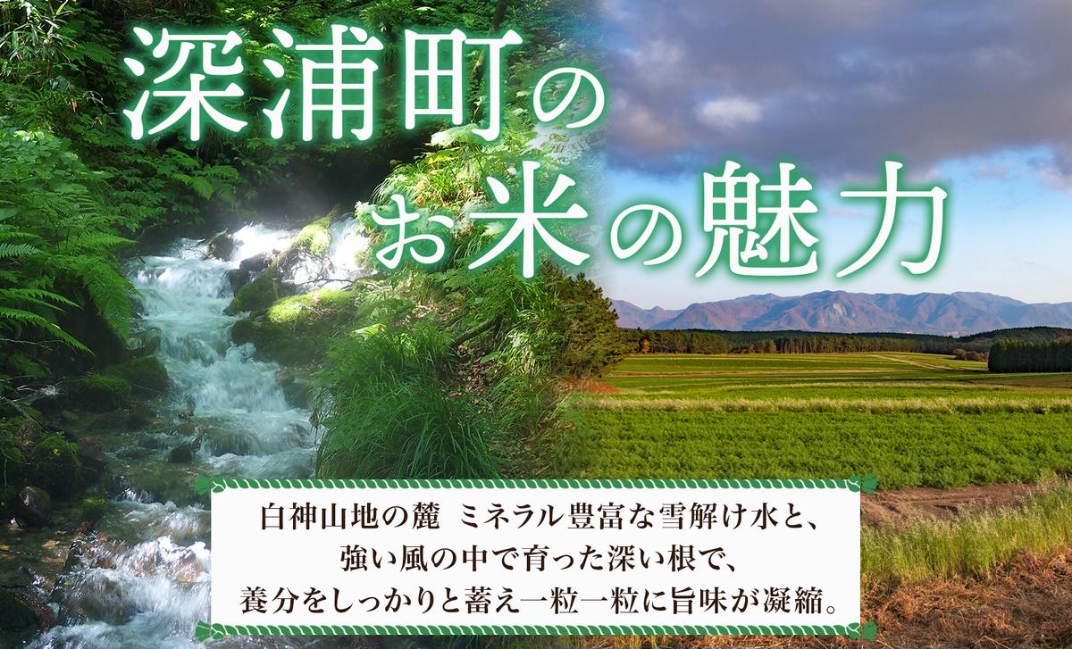 青森ブランド米 はれわたり10kg 白米 米 お米 コメ こめ 食品 ご飯 ごはん 和食 あっさり 国産 送料無料 つややか 青森県 深浦町