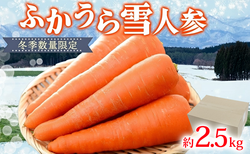 ふかうら雪人参2.5kg（規格外品）雪人参 人参 にんじん ニンジン 野菜 やさい 青森県 深浦町