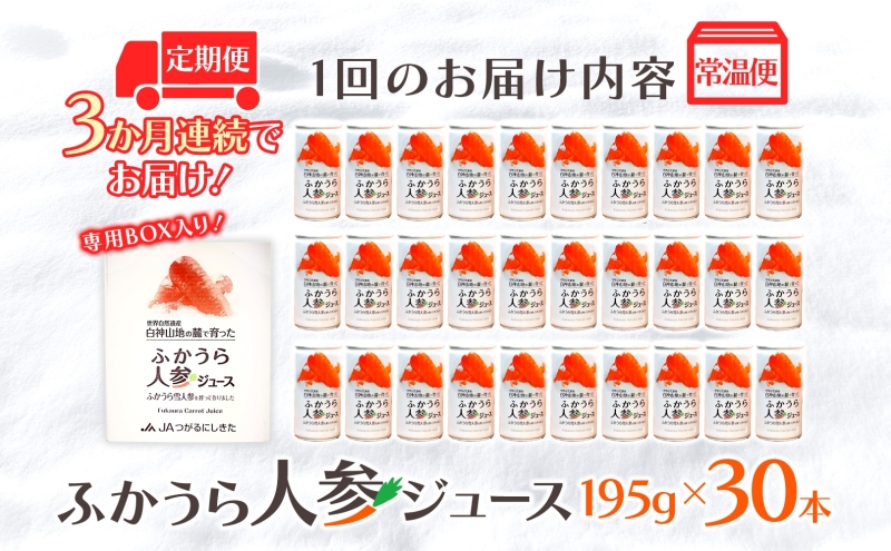 3カ月定期便 ふかうら 人参 ジュース 195g 30本 雪人参 にんじん ニンジン 飲み物 飲料 ドリンク 野菜ジュース 贈り物 ギフト 缶ジュース 野菜 果汁 お取り寄せ 送料無料 常温 つがるにしきた農業協同組合 青森県 深浦町