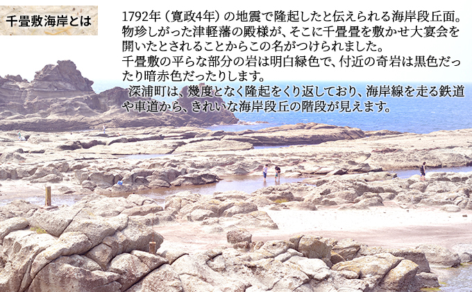 【青森県深浦町】千畳敷センターで使える商品券　6，000円分