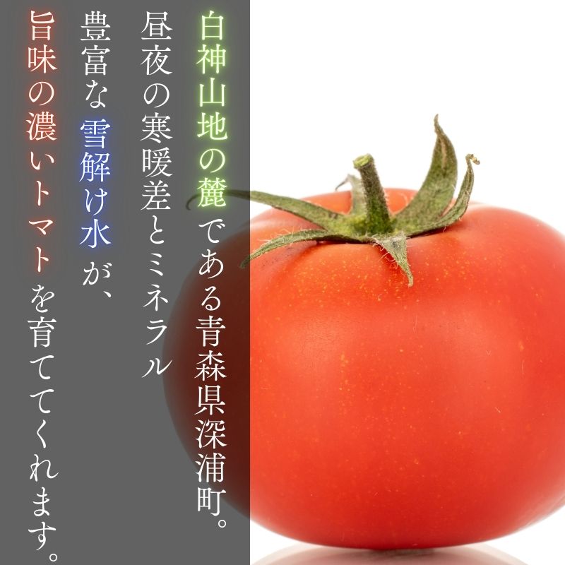縲10譛育匱騾√鷹搨譽ョ逵檎肇 譯螟ェ驛 繝医槭ヨ 邏4kg 20邇牙燕蠕 螟ァ邇 tomato 譁ー魄ョ 驥手除 譌ャ 逕倥> 螳檎 繧ク繝・繝シ繧ケ 逕」蝨ー逶エ騾 霎イ螳カ逶エ騾