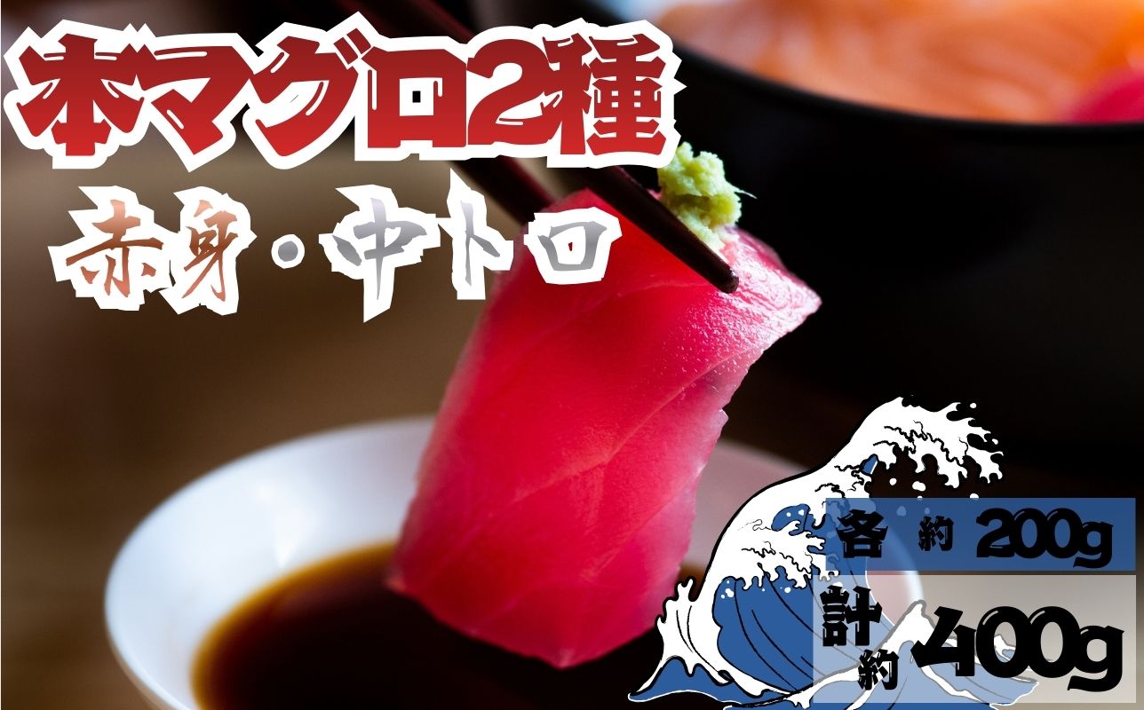 【出荷時期：7月上旬〜】本マグロ 赤身 中トロ 各1柵 セット 国産 本鮪
