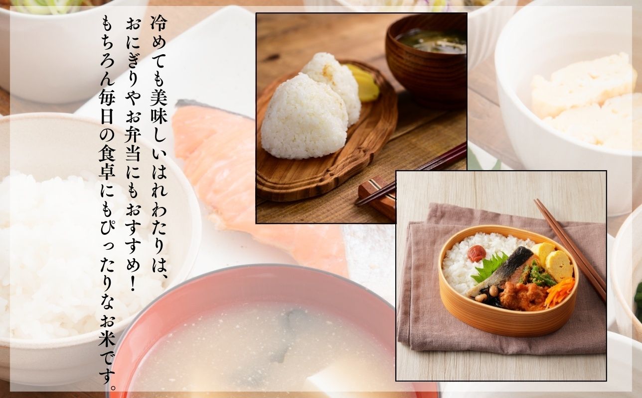【令和8年産　新米】青森ブランド米 はれわたり10kg 