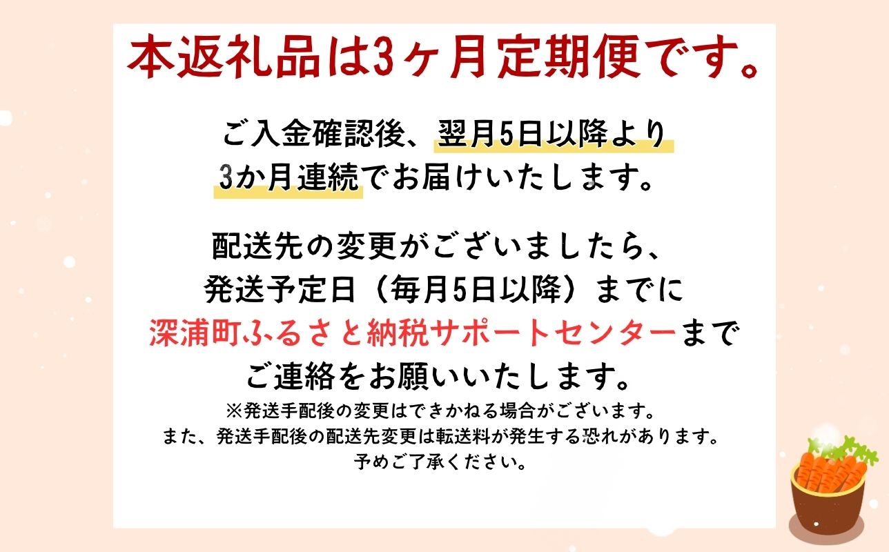 3カ月定期便 ふかうら 人参 ジュース 195g 30本 