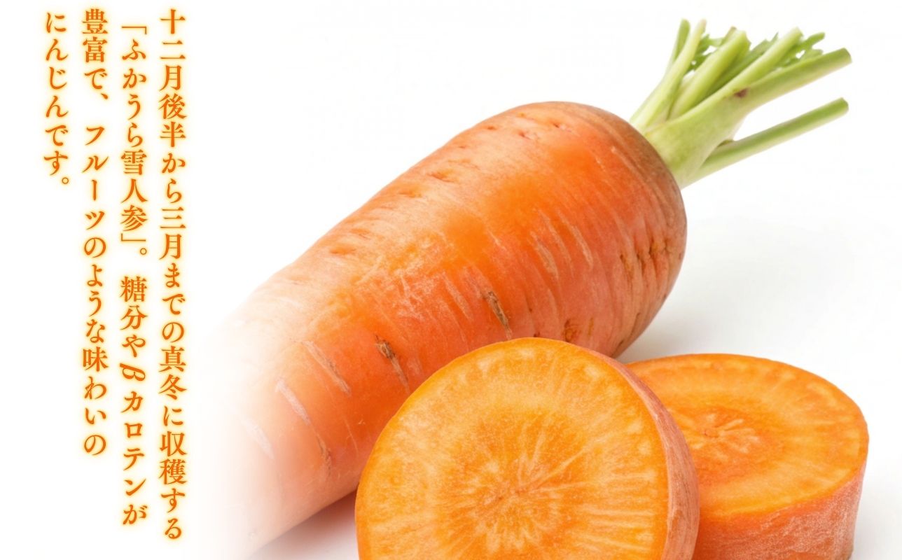 3カ月定期便 ふかうら 人参 ジュース 195g 30本 