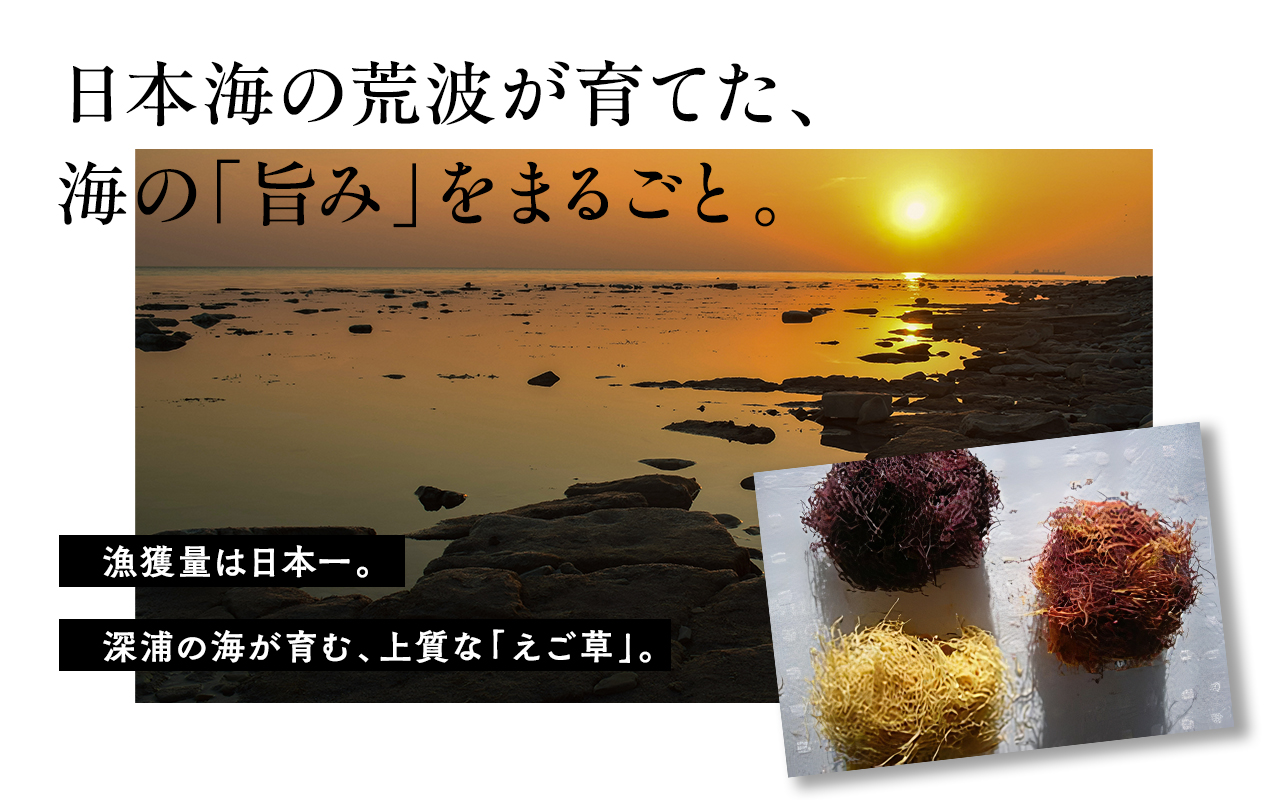 青森えご草セット　No.1