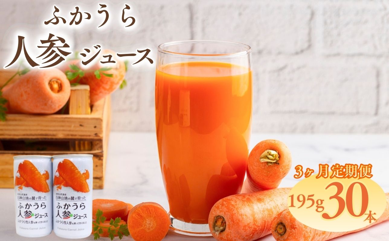 3カ月定期便 ふかうら 人参 ジュース 195g 30本 