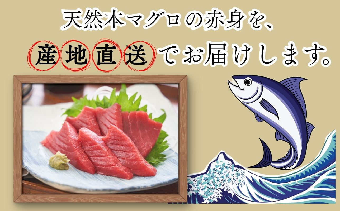本マグロ 赤身 2柵 国産 本鮪 