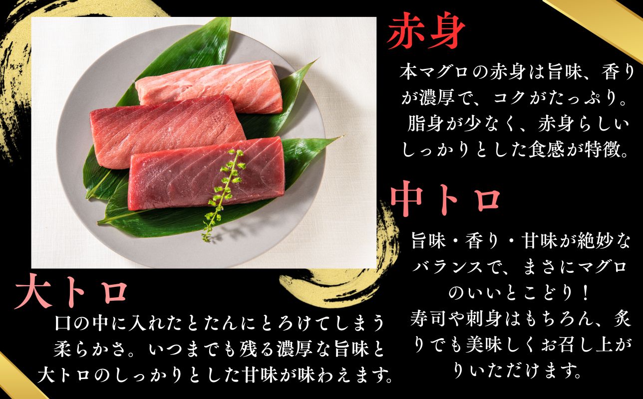 【出荷時期：7月上旬〜】本マグロ 3種 赤身 中トロ 大トロ 各1柵 国産 本鮪 