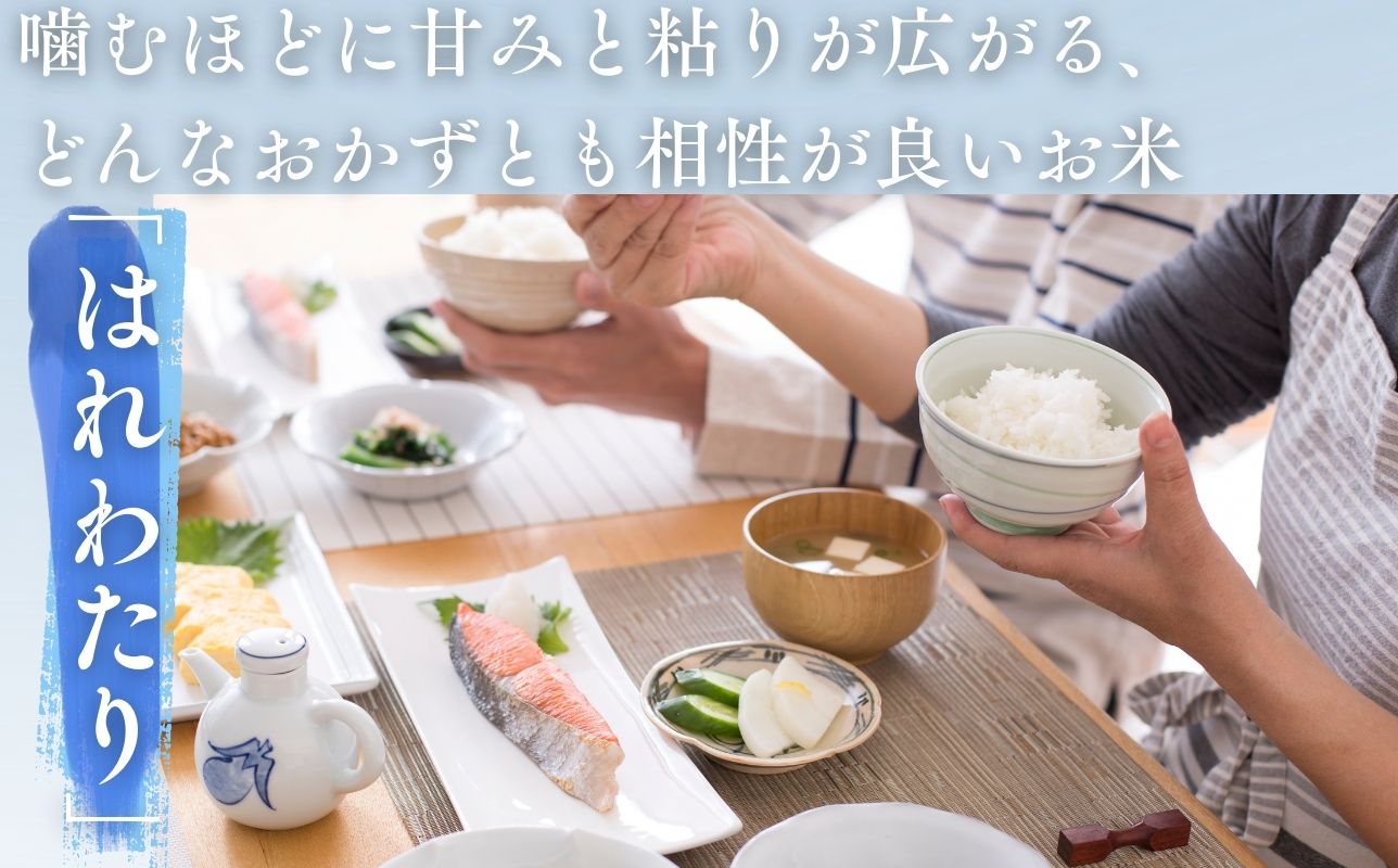 【令和7年産米】青森ブランド米 はれわたり5kg 白米
