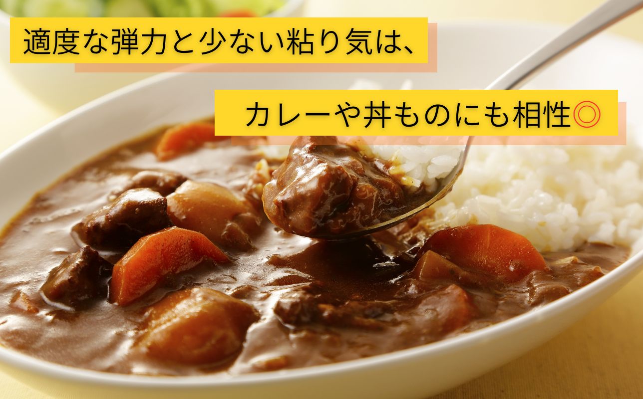 【令和7年産米】青森ブランド米 まっしぐら5kg 白米