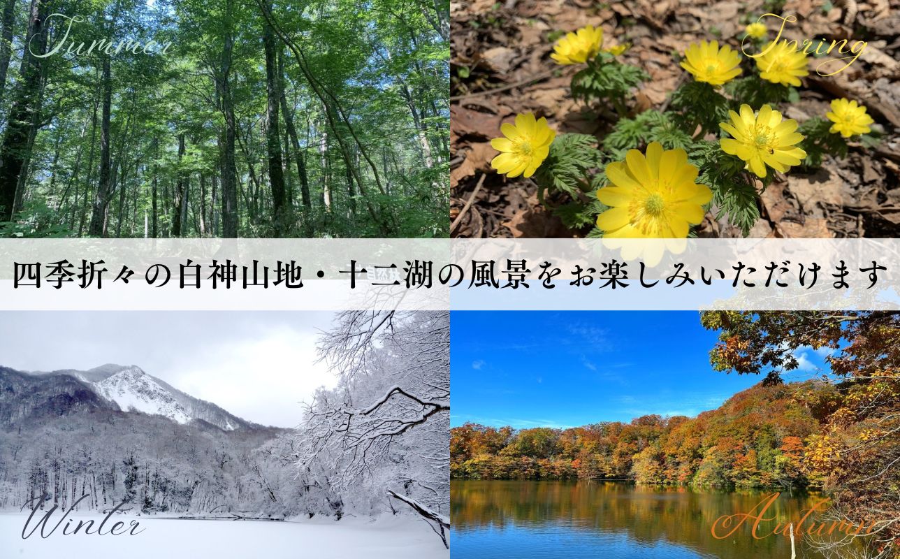 アオーネ白神施設で使える利用券 20,000円分 