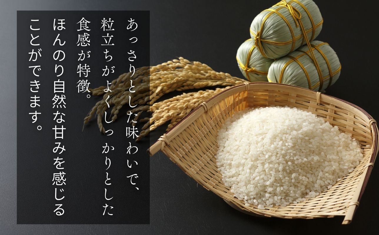 【令和7年産米】青森ブランド米 まっしぐら10kg 白米