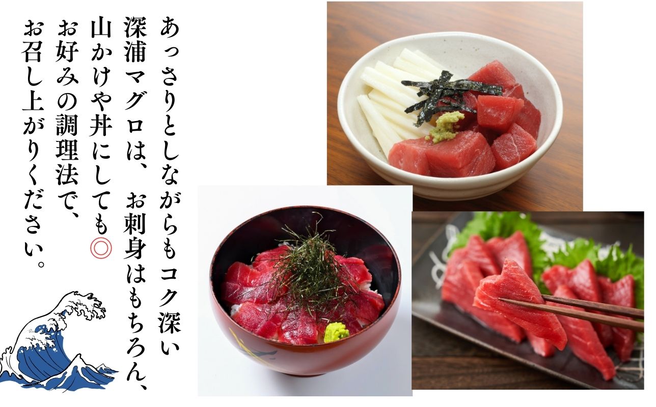 本マグロ 赤身 2柵 国産 本鮪 