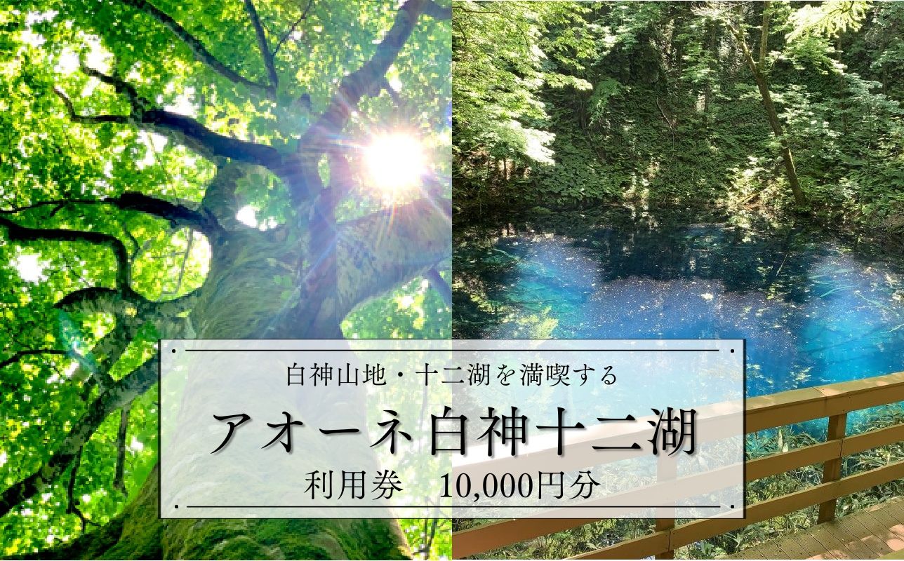 アオーネ白神施設で使える利用券 10,000円分