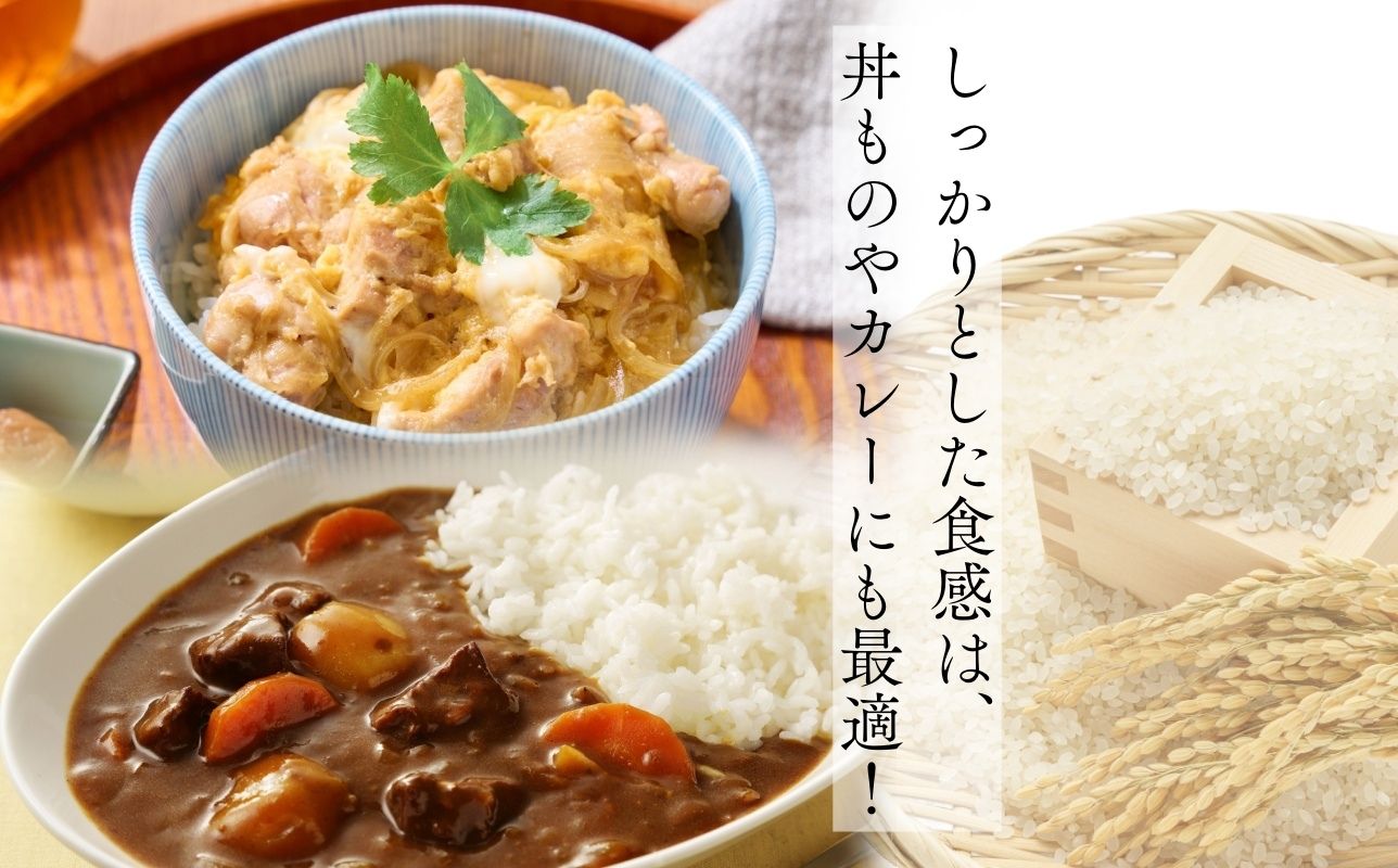 【令和8年産　新米】青森ブランド米 まっしぐら 白米5kg  