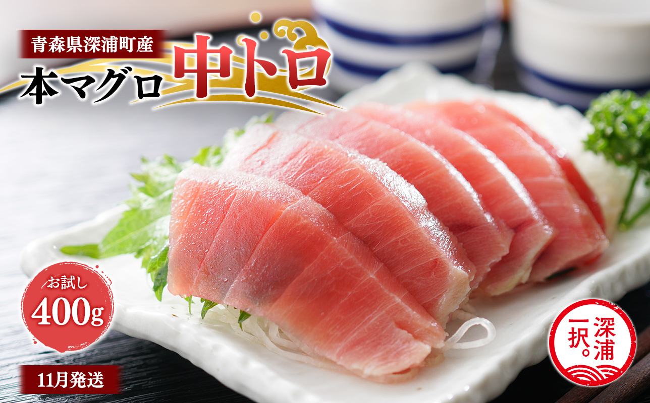 青森県深浦町産 天然本マグロ 中トロ 400g 200g×2 冷凍柵 深浦マグロ 刺身 海鮮 鮪 まぐろ【fu-0015-015_11】