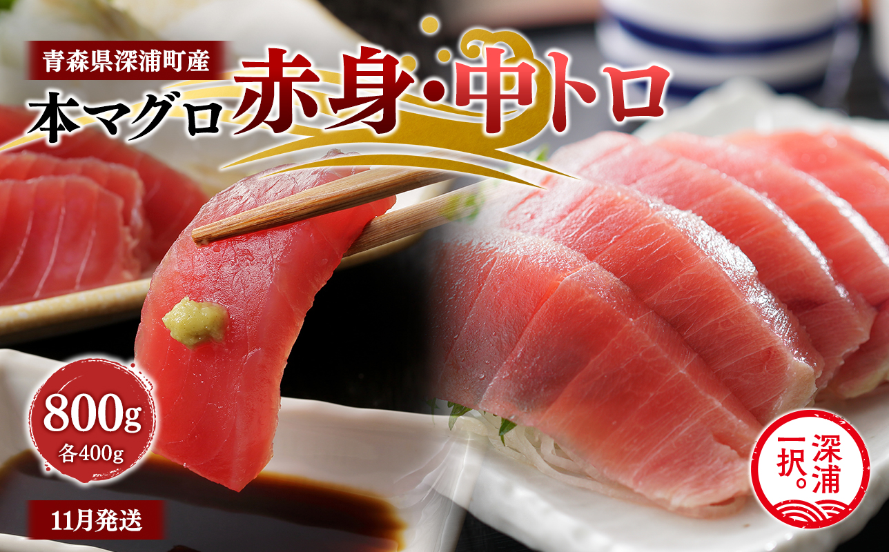 青森県深浦町産 天然本マグロ 赤身 中トロ 800g 各400g 食べ比べ 冷凍柵 深浦マグロ 刺身 海鮮 鮪 まぐろ【fu-0015-022_11】