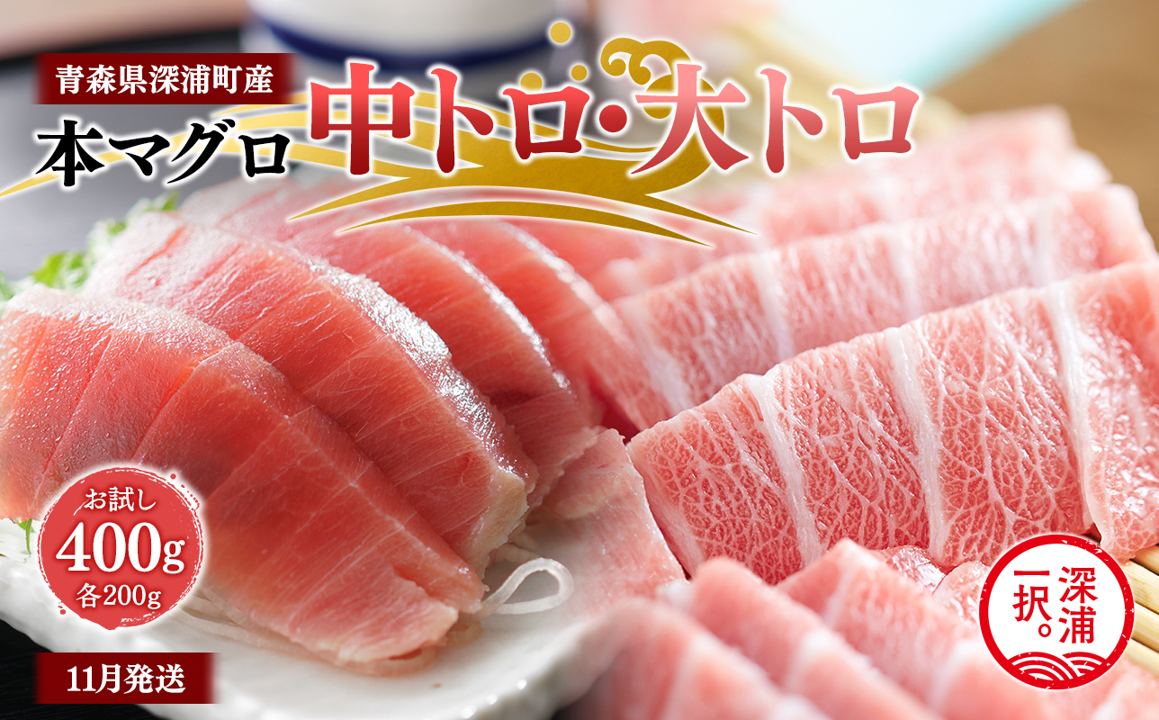 青森県深浦町産 天然本マグロ 中トロ 大トロ 400g 各200g 食べ比べ 冷凍柵 深浦マグロ 刺身 海鮮 鮪 まぐろ【fu-0015-024_11】